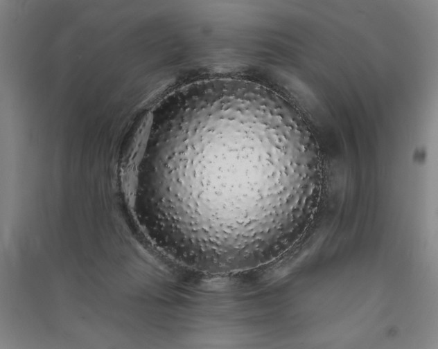 X0000091330269200708171357