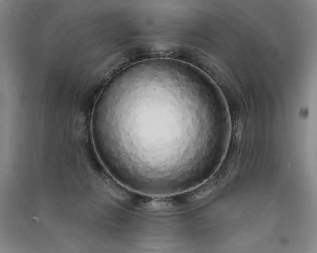 X0000091330270200708171357