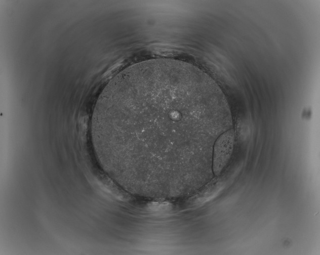 X0000091330271200708171357