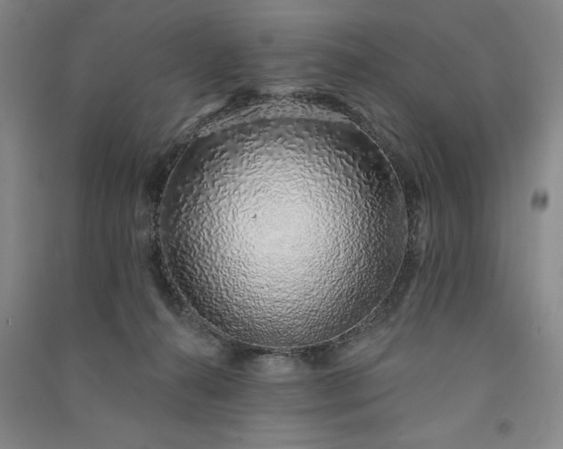 X0000091330272200708171357