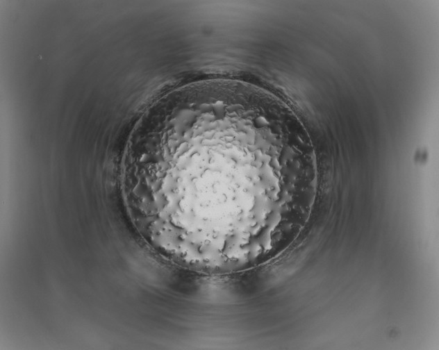 X0000091330273200708171357