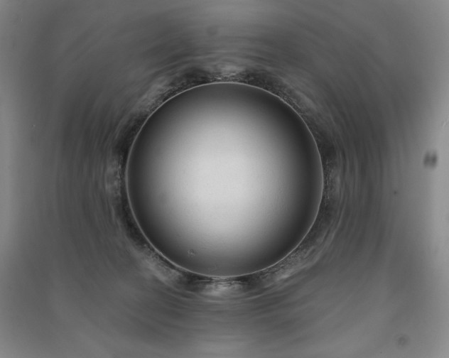 X0000091330274200708171357