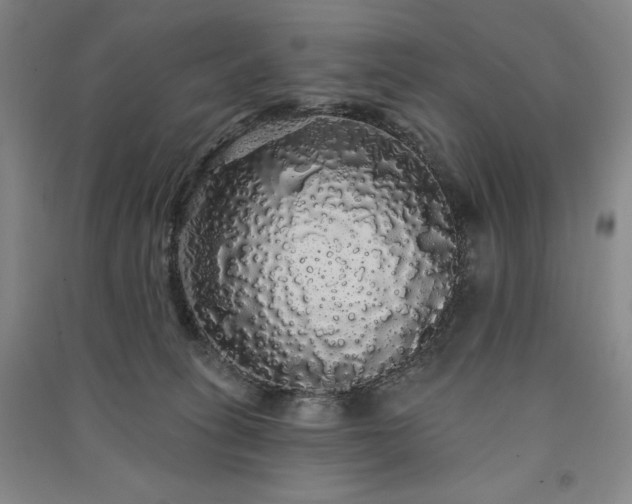 X0000091330275200708171357