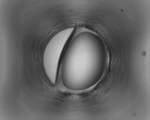 X0000091330276200708171357