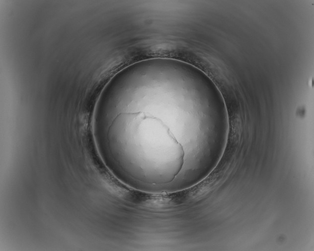 X0000091330278200708171357