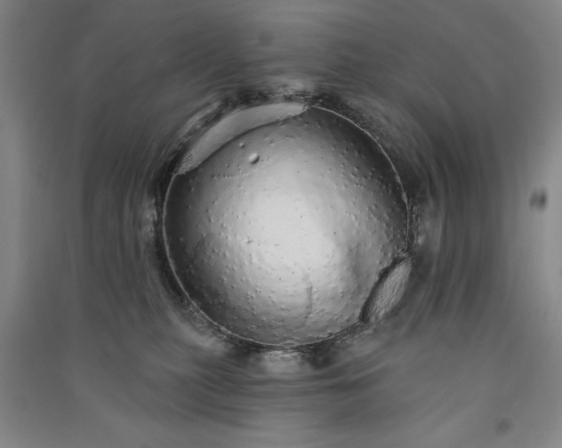 X0000091330279200708171357