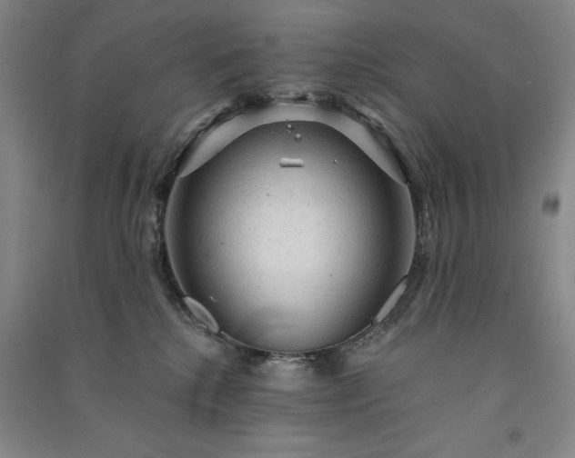 X0000091330280200708171357