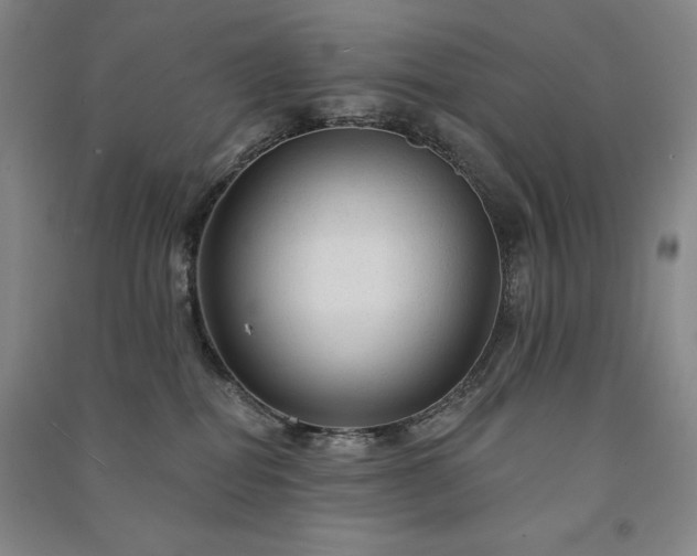 X0000091330282200708171357