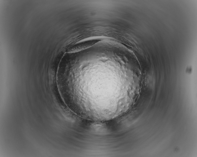 X0000091330283200708171357