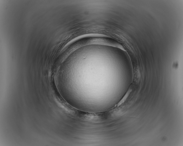 X0000091330284200708171357