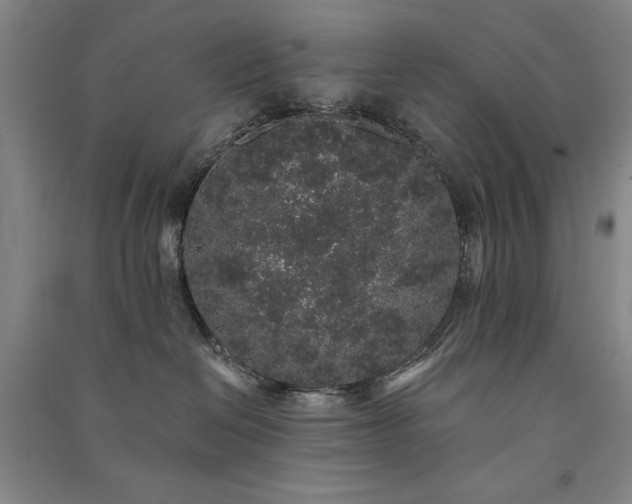 X0000091330286200708171357