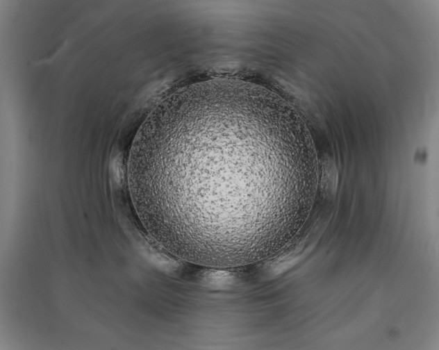 X0000091330287200708171357