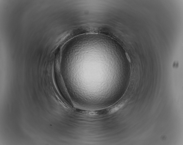 X0000091330288200708171357