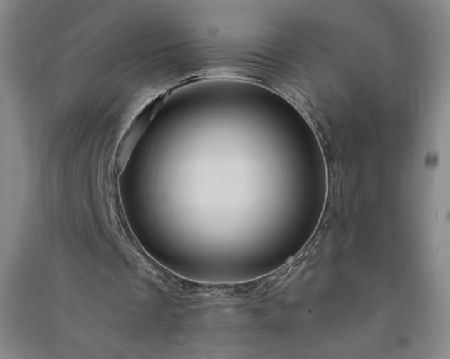 X0000091330289200708171356