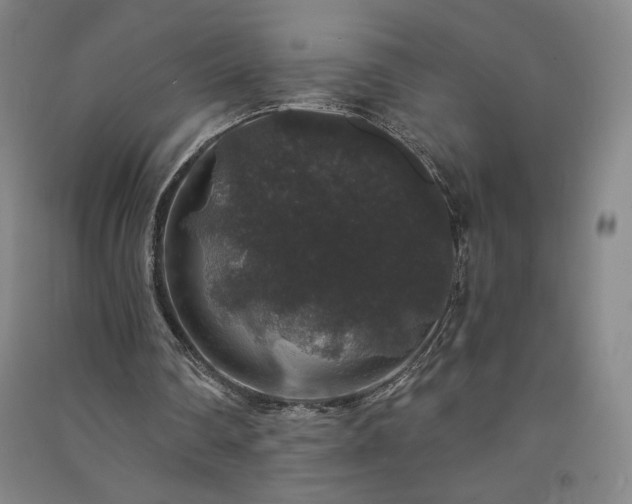 X0000091330290200708171356