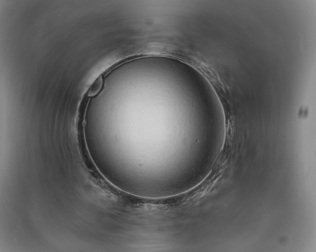 X0000091330292200708171356