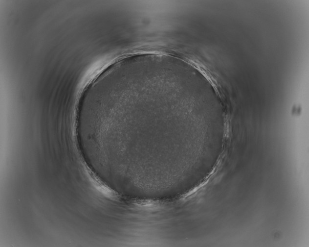 X0000091330293200708171356