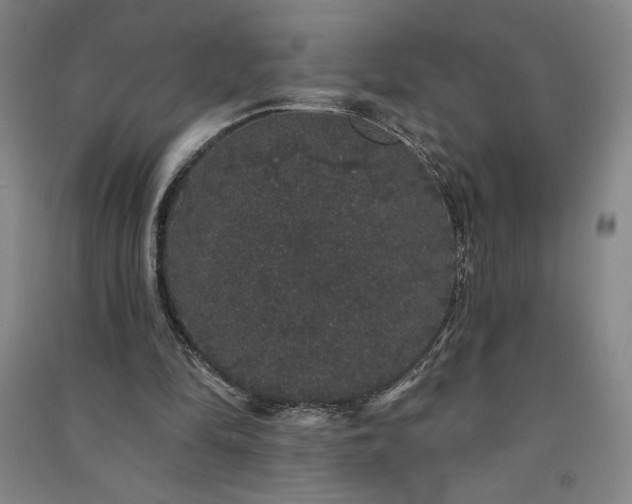 X0000091330294200708171356