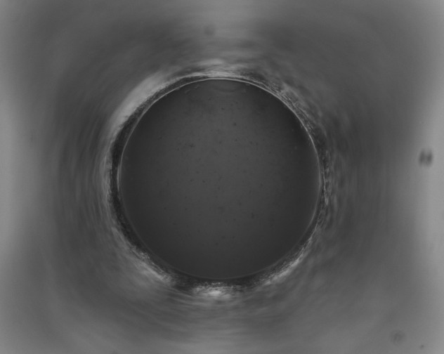 X0000091330295200708171356