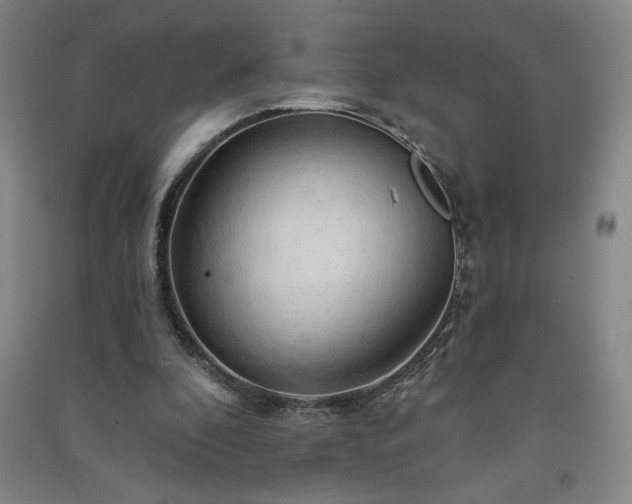 X0000091330296200708171356