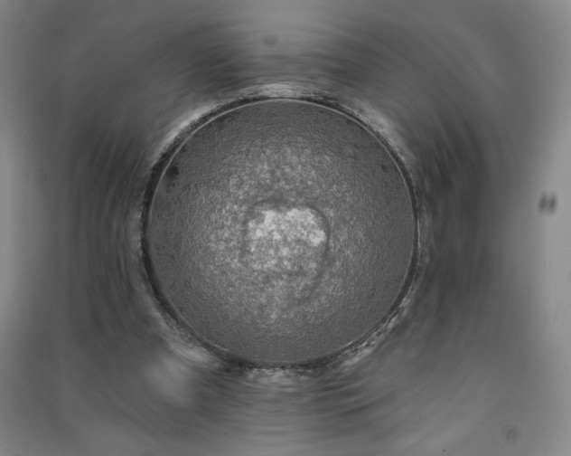 X0000091330297200708171356