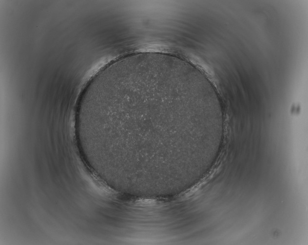 X0000091330298200708171356