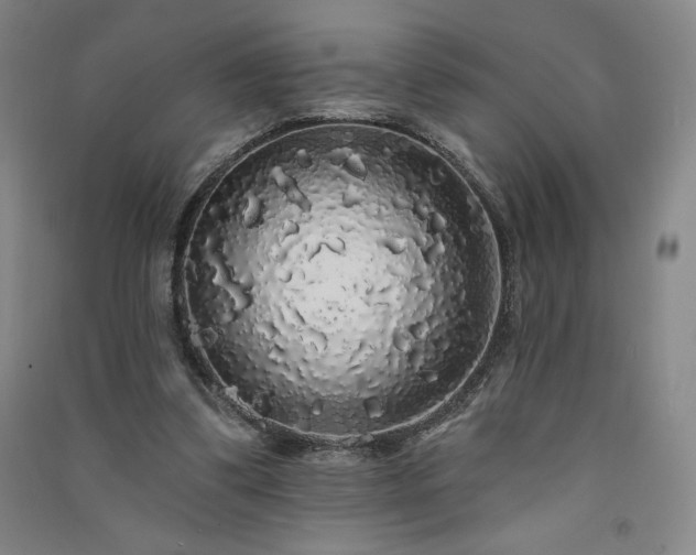 X0000091330299200708171356