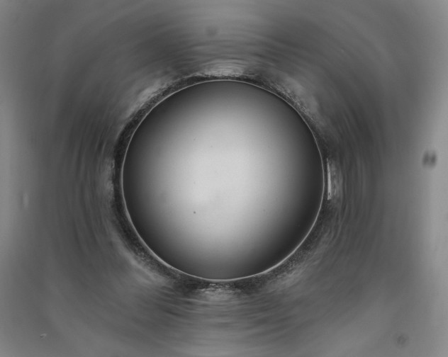 X0000091330300200708171356