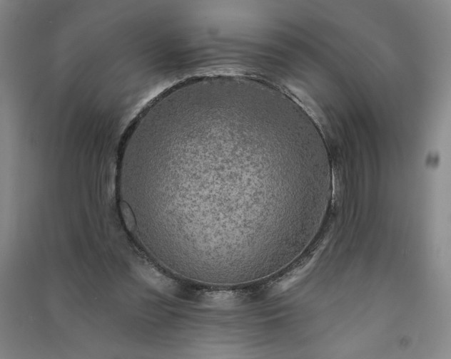 X0000091330301200708171356