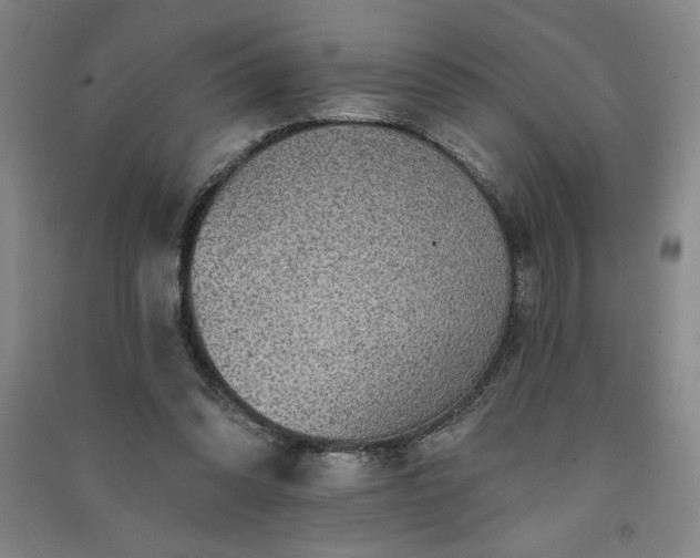 X0000091330302200708171356