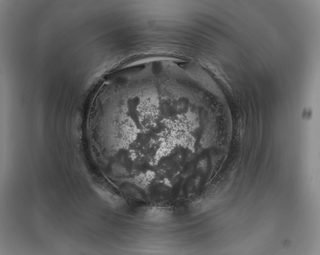 X0000091330303200708171356