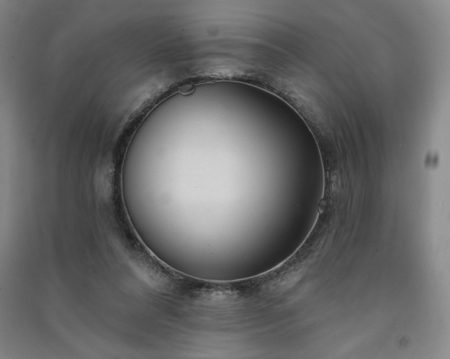 X0000091330304200708171356