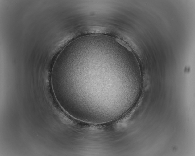 X0000091330305200708171356