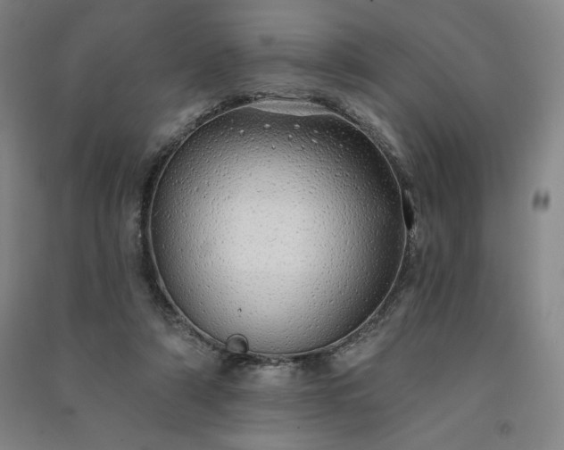 X0000091330306200708171356