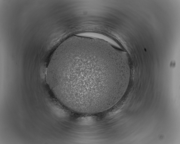 X0000091330307200708171356