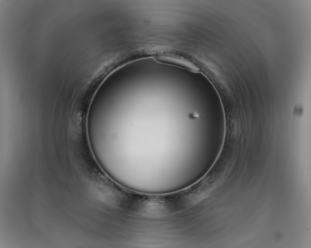 X0000091330308200708171356