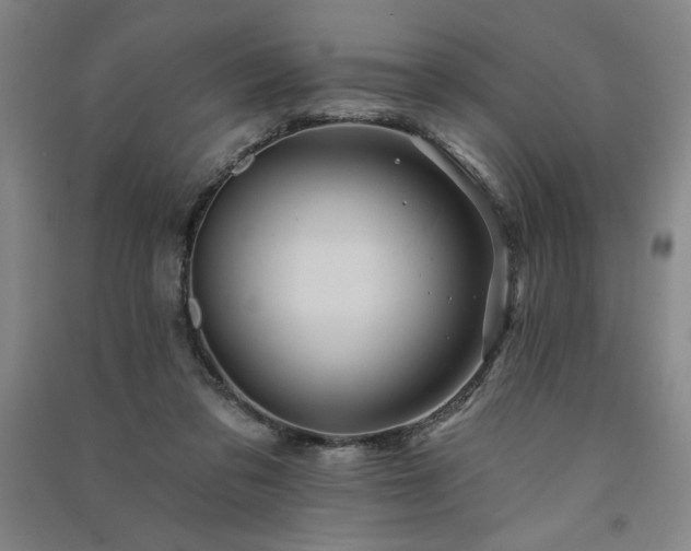 X0000091330309200708171356