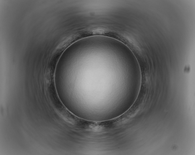 X0000091330311200708171356