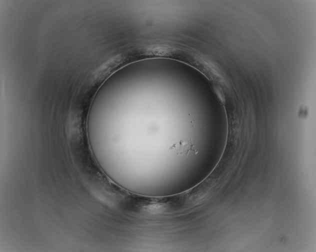 X0000091330312200708171356