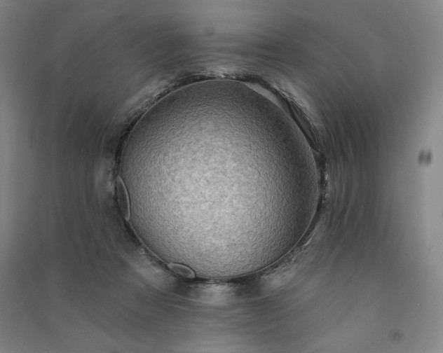 X0000091330313200708171356