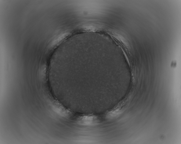 X0000091330314200708171356