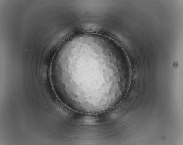 X0000091330315200708171356