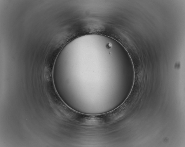 X0000091330316200708171356