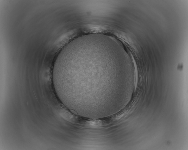 X0000091330317200708171356