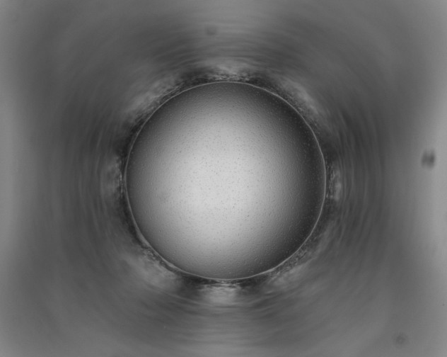 X0000091330318200708171356