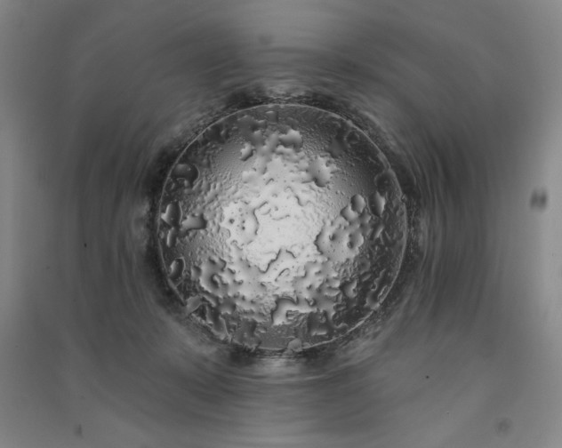 X0000091330319200708171356