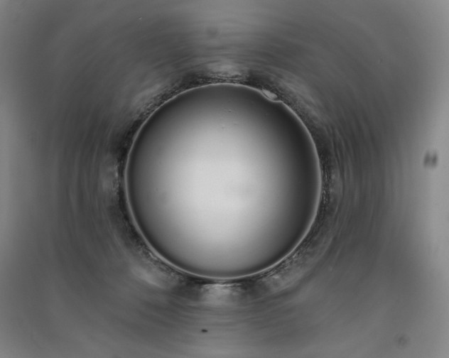 X0000091330320200708171356