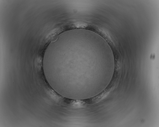 X0000091330321200708171356