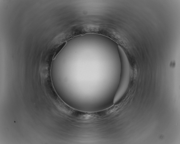 X0000091330323200708171356