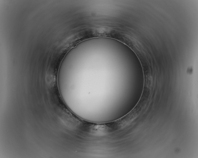 X0000091330324200708171356